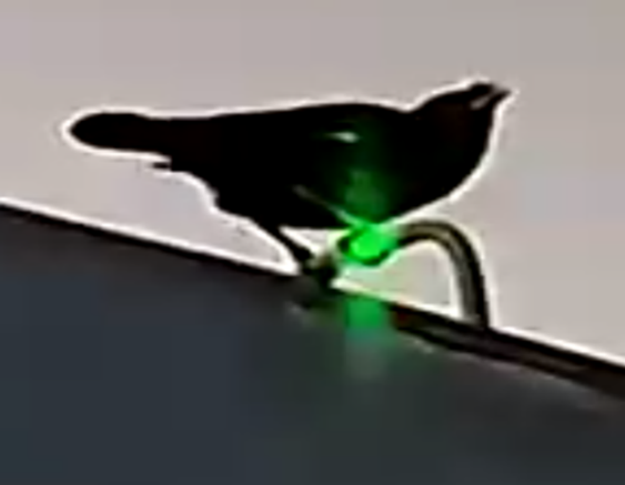 1752485134-5b45ec570b05be7 1752485134-5b45ec570b05be7