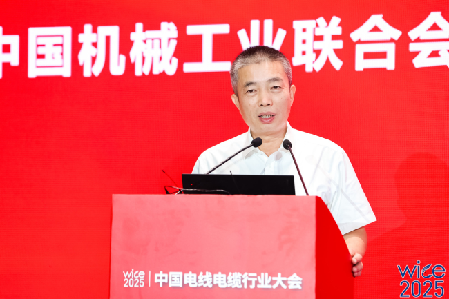 1756471369-dc18e41e6d4649b 1756471369-dc18e41e6d4649b