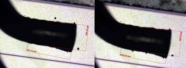 1766634001-442a151c5056e70