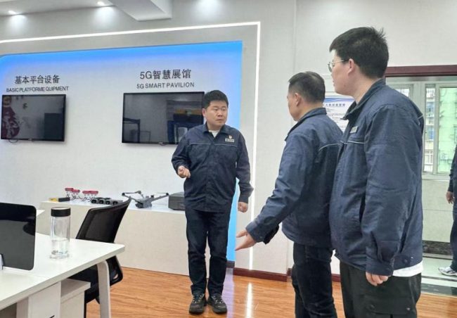 黄石输电运检分公司：纪检监督嵌入春检全过程 护航安全生产责任落实